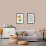 Momento Max Tam Silinebilir ve Yıkanabilir Silikonlu İç Cephe Boyası