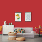 Momento Max Tam Silinebilir ve Yıkanabilir Silikonlu İç Cephe Boyası