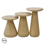 Aspendos 2000 Mantar Sehpa Takımı