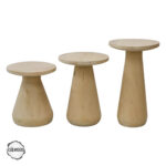 Aspendos 2000 Mantar Sehpa Takımı