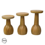 Lidya 3000 Doğal Ahşap Mantar Sehpa Takımı
