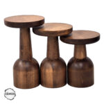 Patara 1008 Doğal Ahşap Mantar Sehpa Takımı