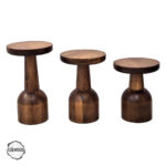 Patara 1008 Doğal Ahşap Mantar Sehpa Takımı