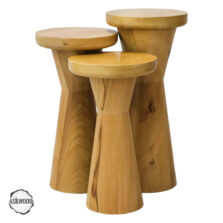 Priene 3000 Doğal Ahşap Mantar Sehpa Takımı