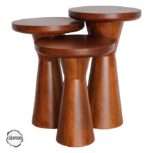 Priene 4000 Doğal Ahşap Mantar Sehpa Takımı