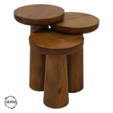 Assos 4000 Doğal Ahşap Mantar Sehpa Takımı