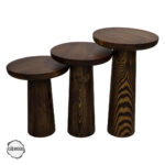 Assos 1002 Doğal Ahşap Dokulu Yüzey Mantar Sehpa Takımı